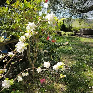Cassia, Luminoso Open Space Nel , Casa Dei Leoni Appartamento Roma